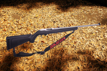 Ruger 10/22 American